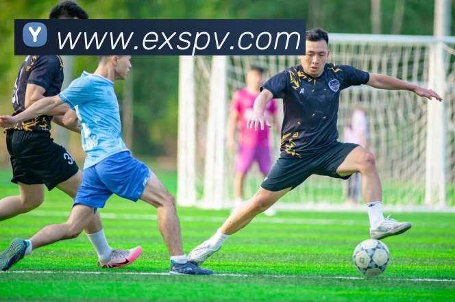 数据防护可视化